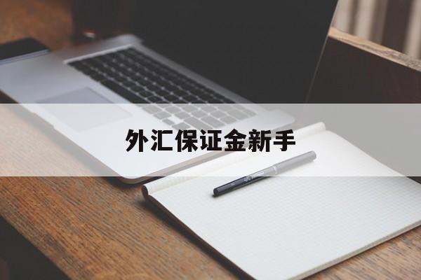 外汇保证金新手(外汇保证金交易是否合法知乎)