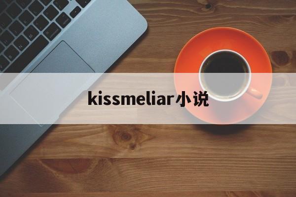 kissmeliar小说(kiss me,lair小说)